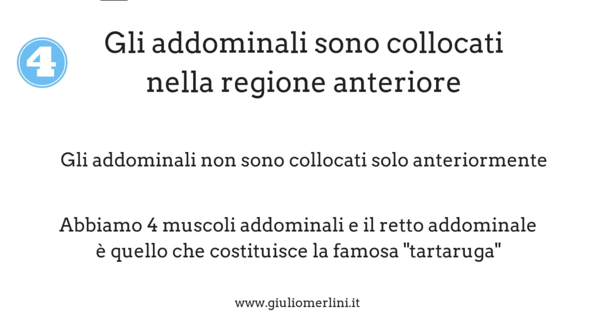 allenamento addominali e come fare uscire la tartaruga