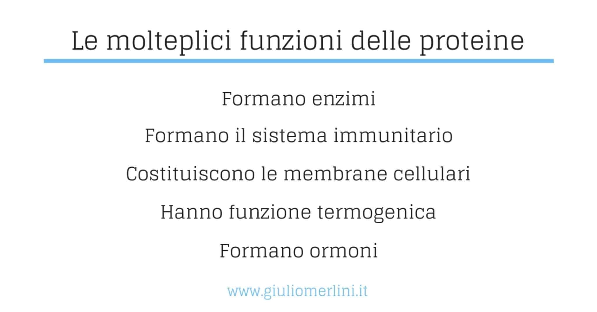 funzioni proteine