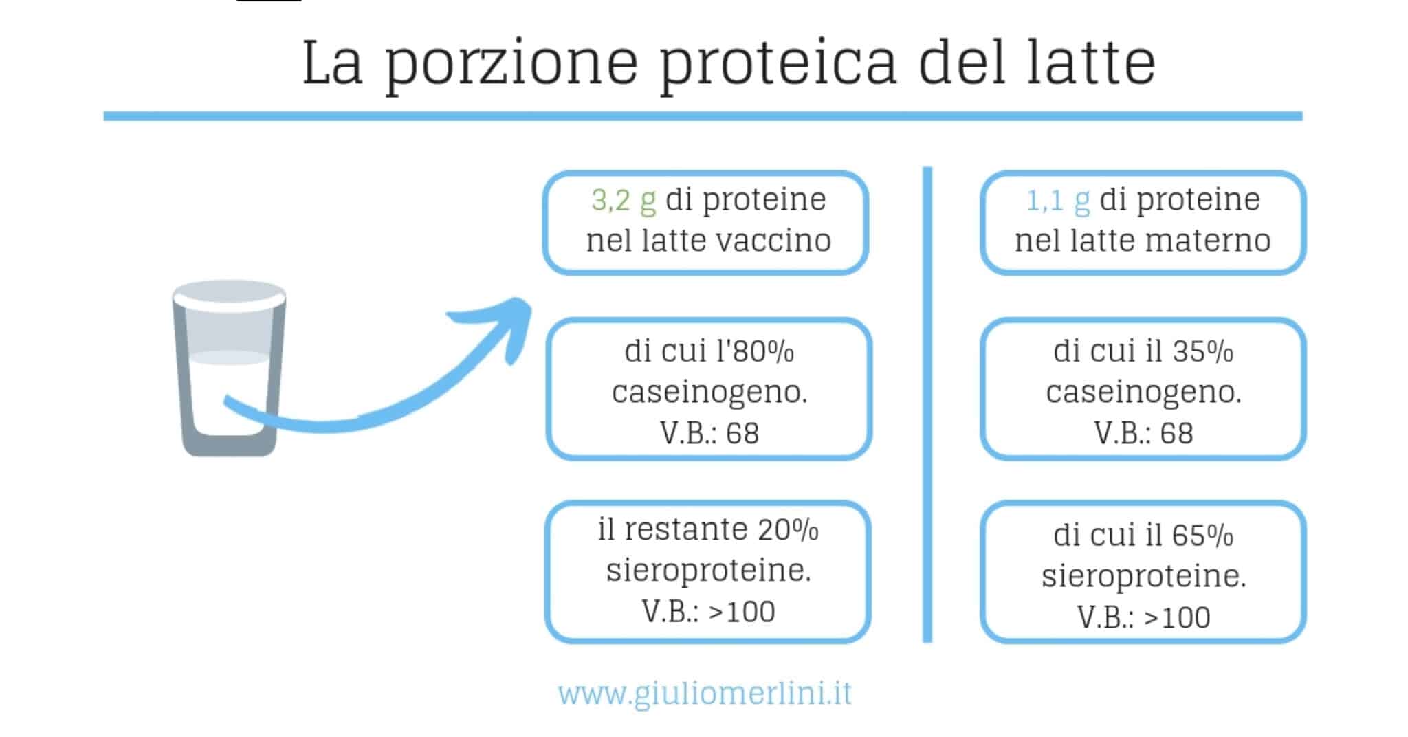 Proteine nel latte