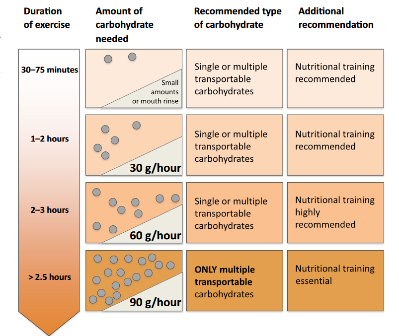 Endurance e carboidrati durante la gara di corsa, bici o triathlon