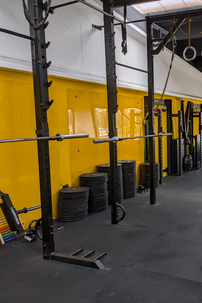 palestra sport collegno