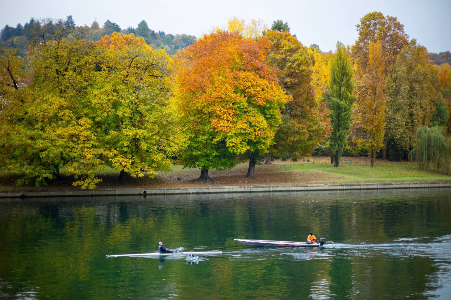 canottaggio sul po all'altezza del parco del valentino di torino, sport all'aperto