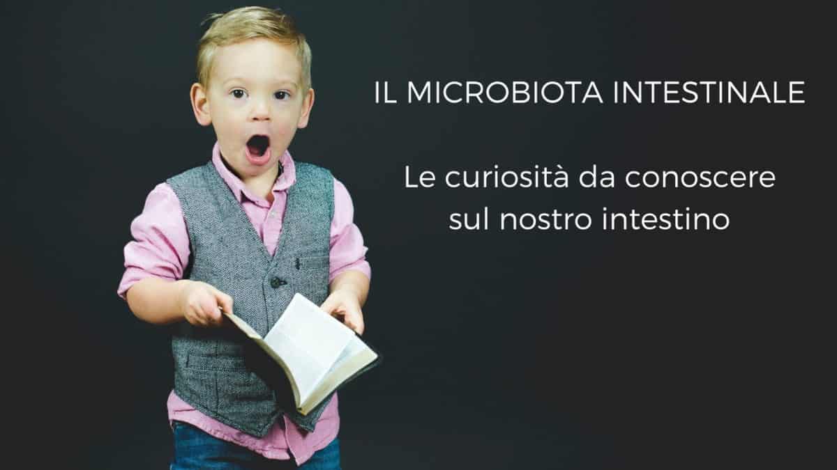 Il microbiota intestinale