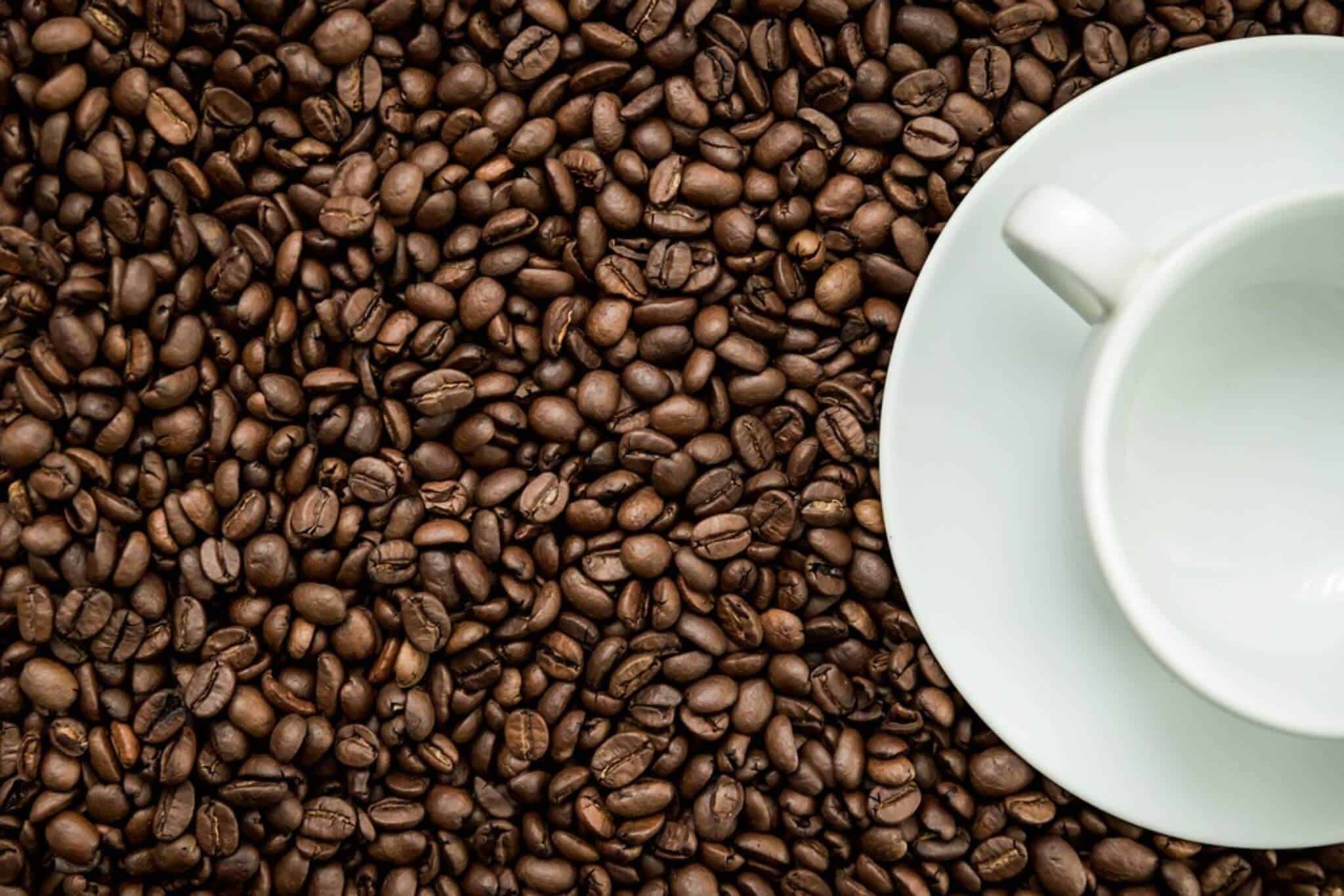 quanti caffè possiamo bere al giorno