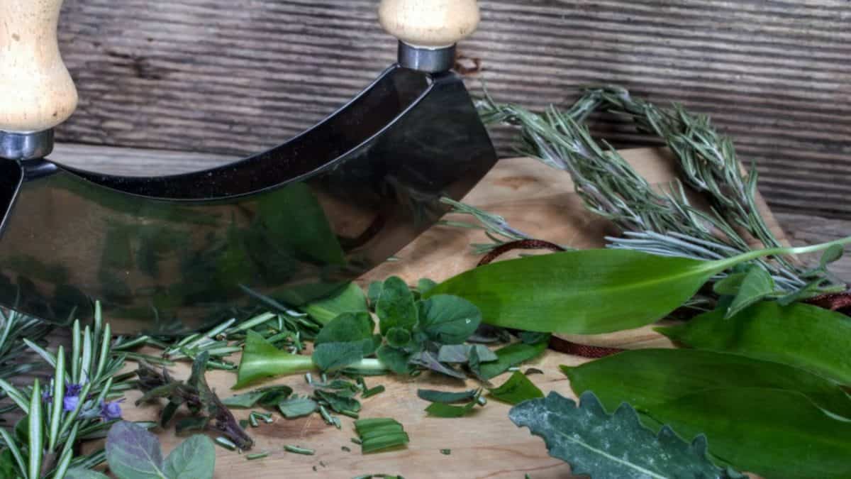 interazioni erbe farmaci