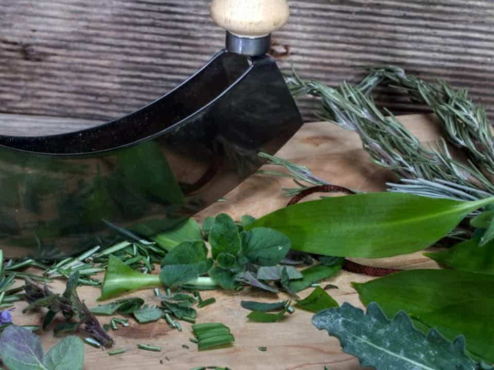 interazioni erbe farmaci