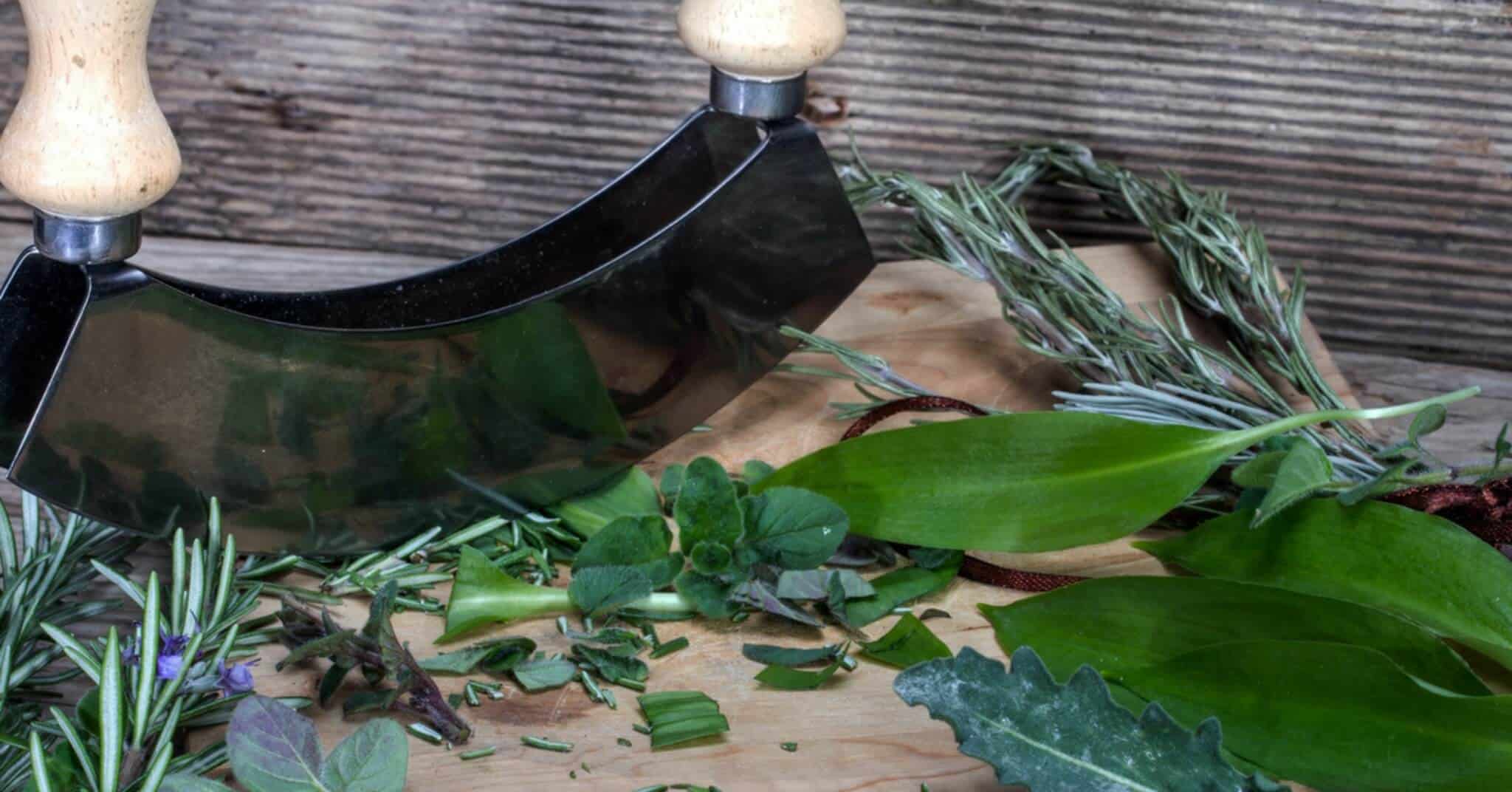 interazioni erbe farmaci