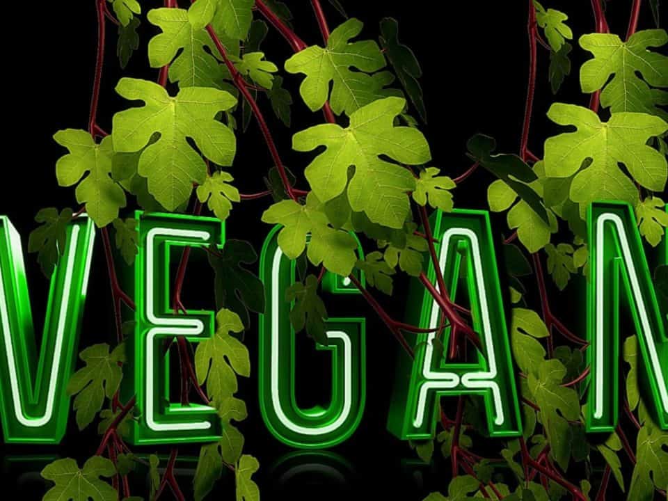 dieta vegana pro e contro