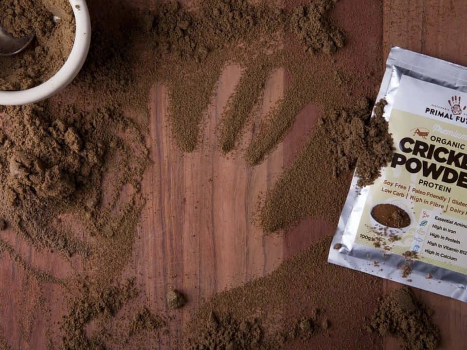 proteine dopo palestra