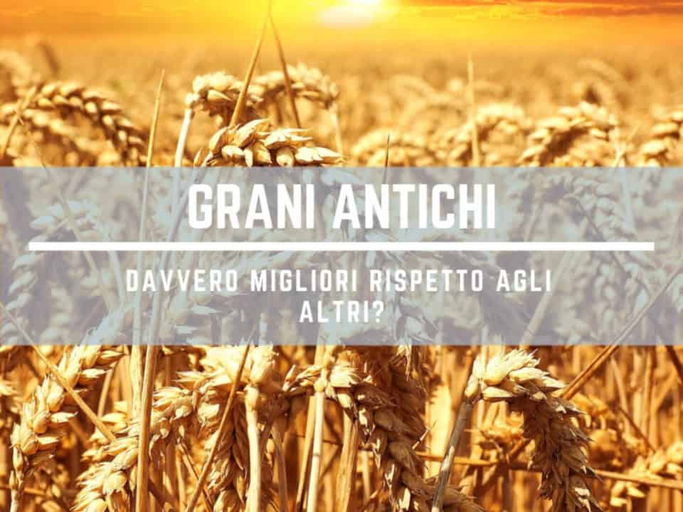 grani antichi
