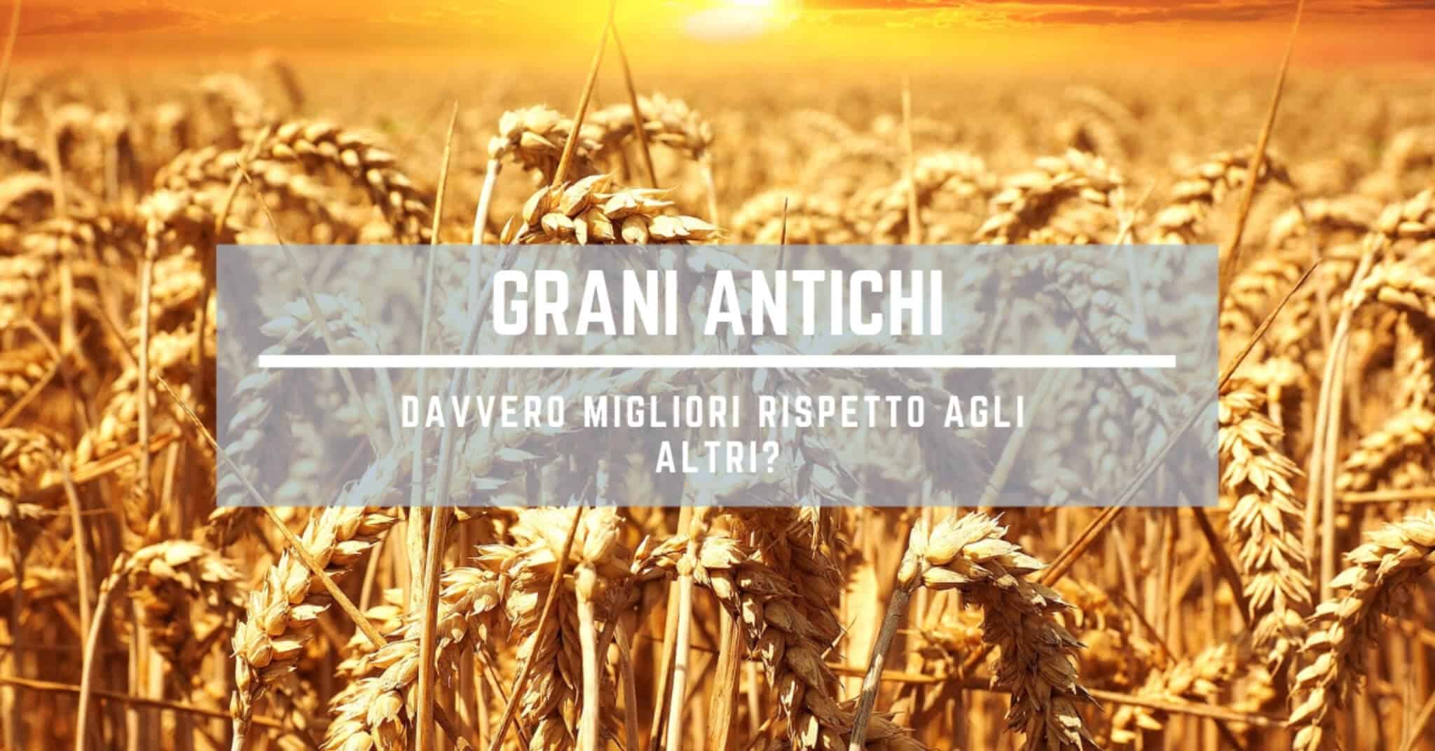 grani antichi