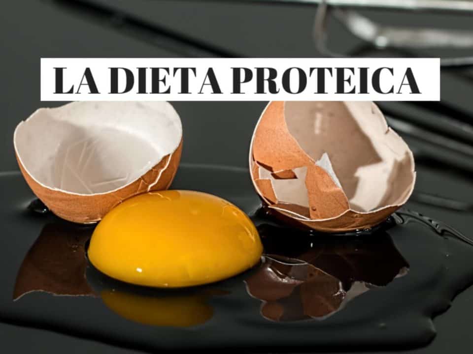 dieta proteica