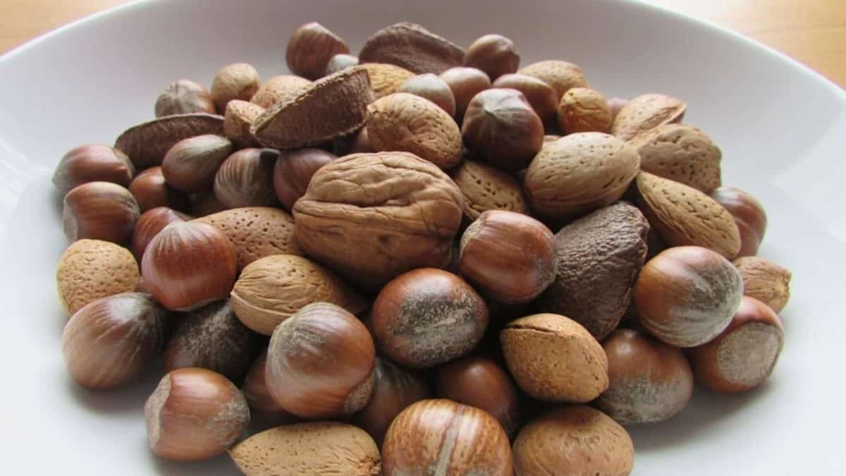 frutta secca e rischio cardiovascolare