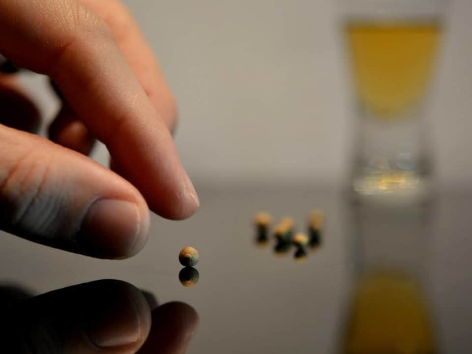 effetto placebo degli integratori