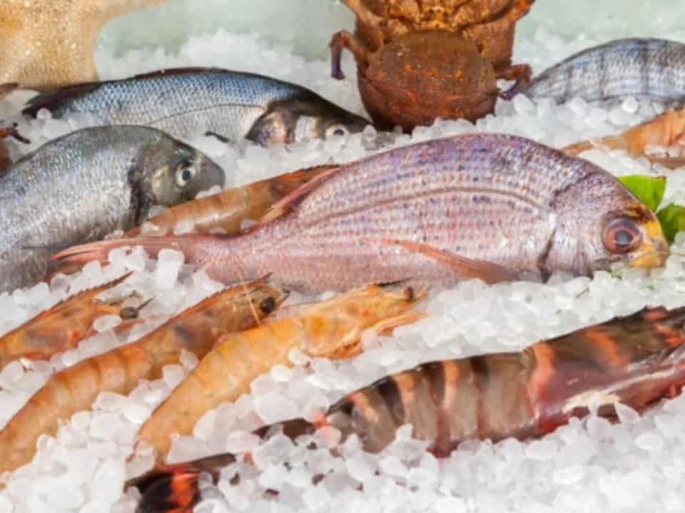 quanto ferro contiene il pesce