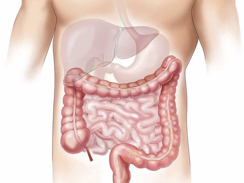 sindrome dell'intestino gocciolante