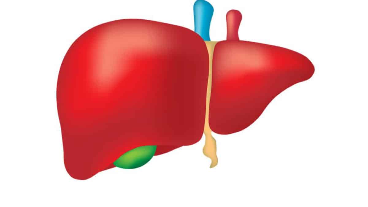 complicazioni della cirrosi