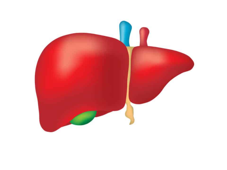 complicazioni della cirrosi