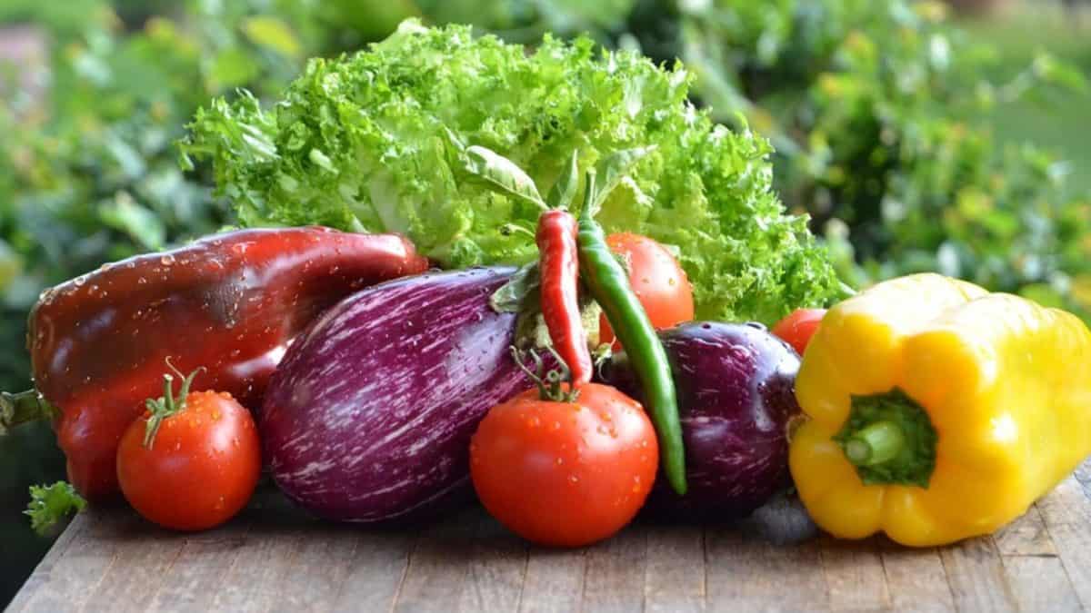 dieta e fibre alimentari