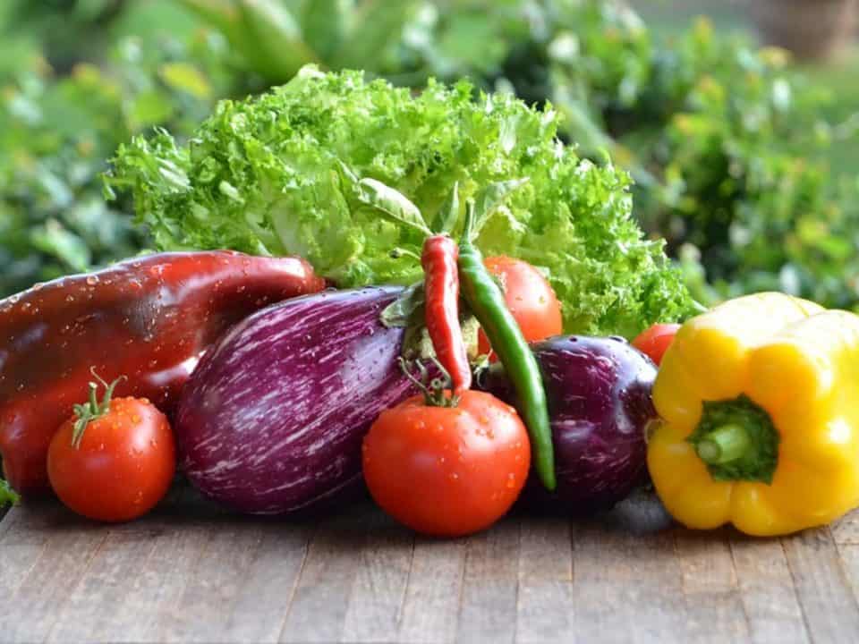 dieta e fibre alimentari