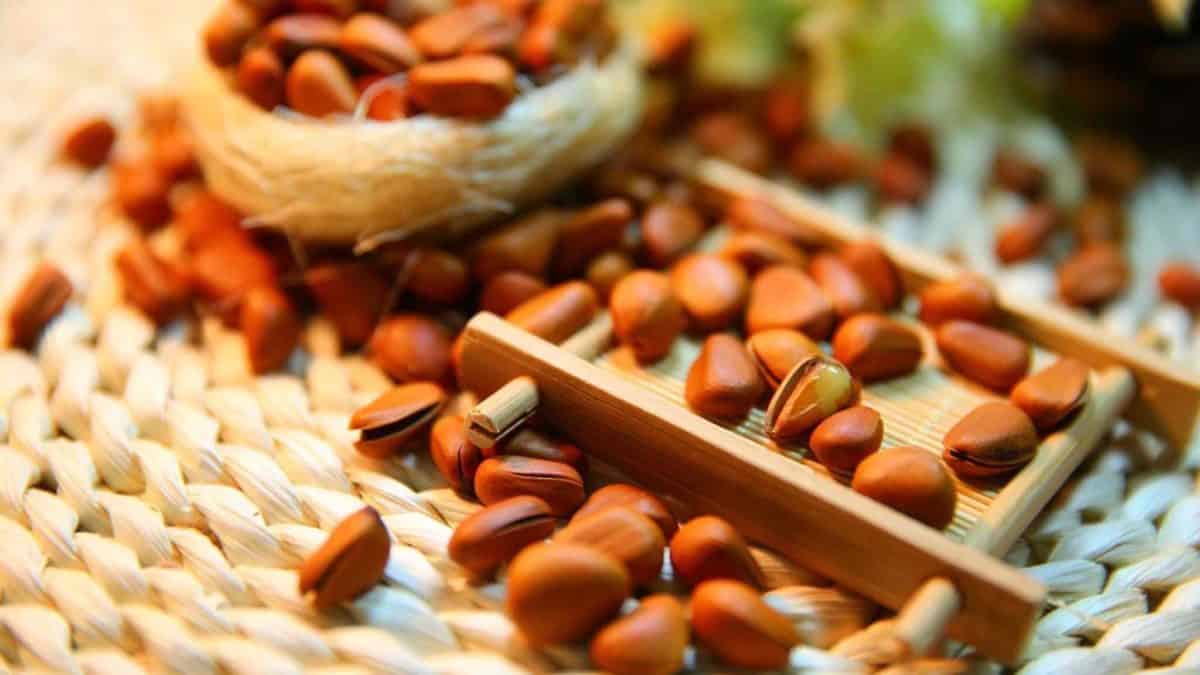 la dieta chetogenica fa male?