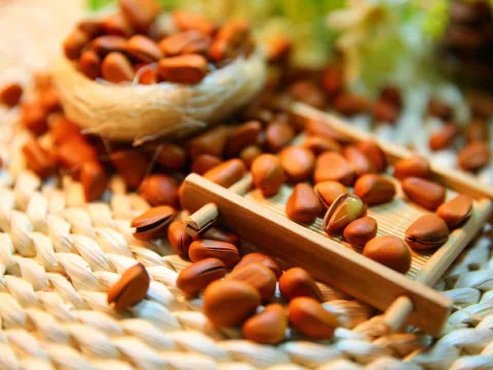 la dieta chetogenica fa male?