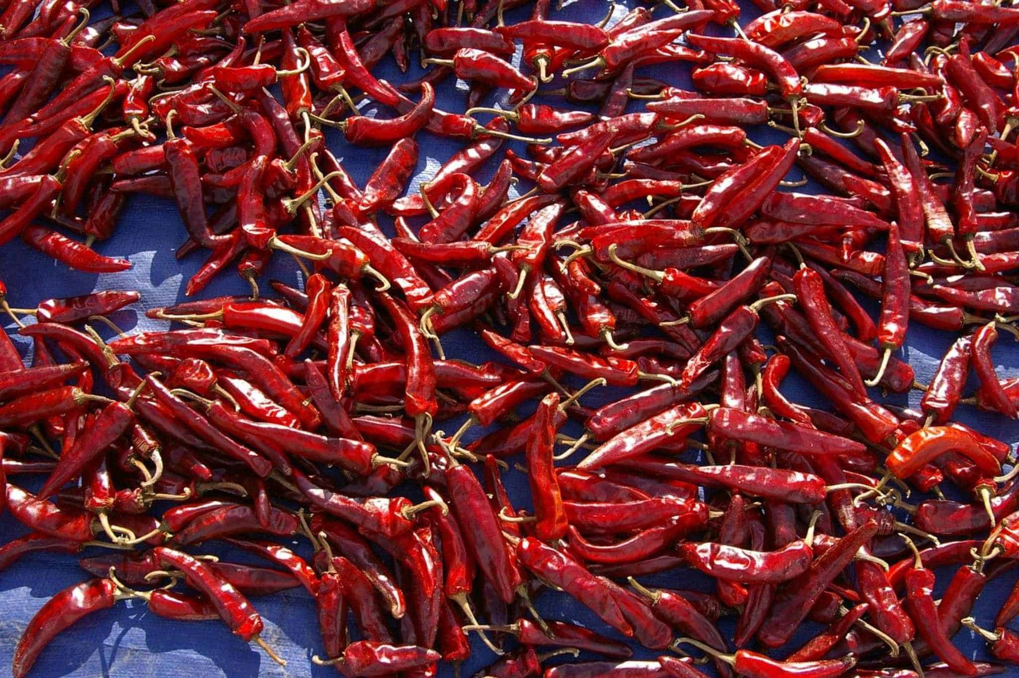 Curiosità sul peperoncino