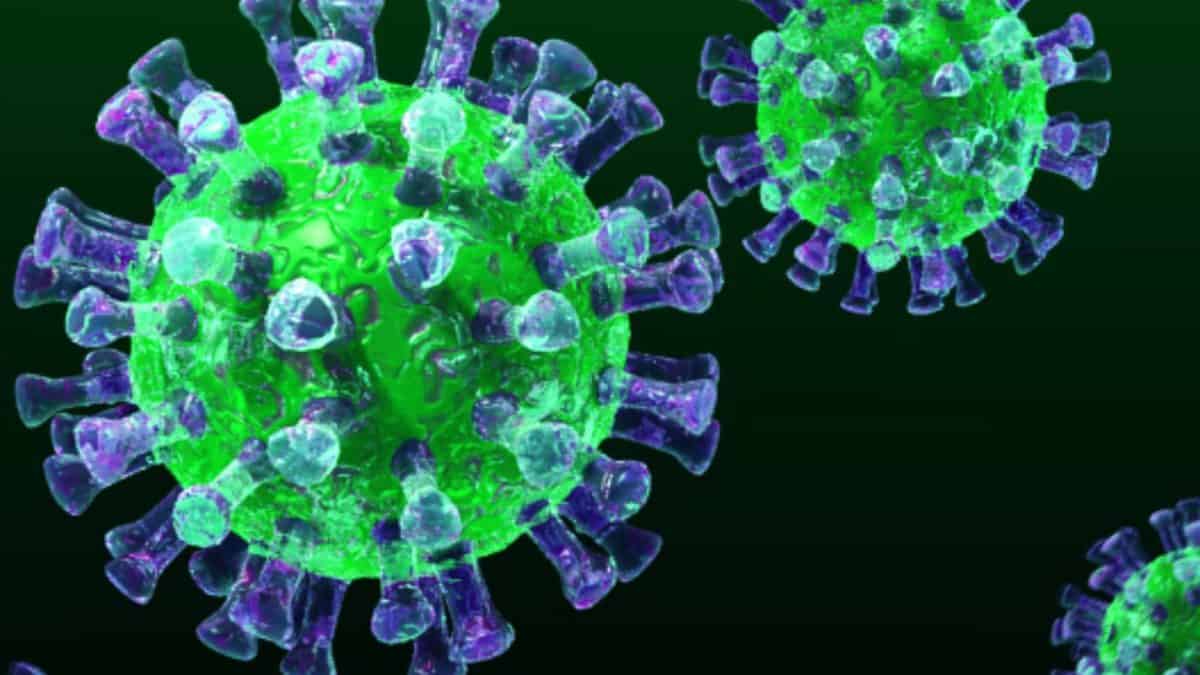 Le bufale alimentari e COVID 19