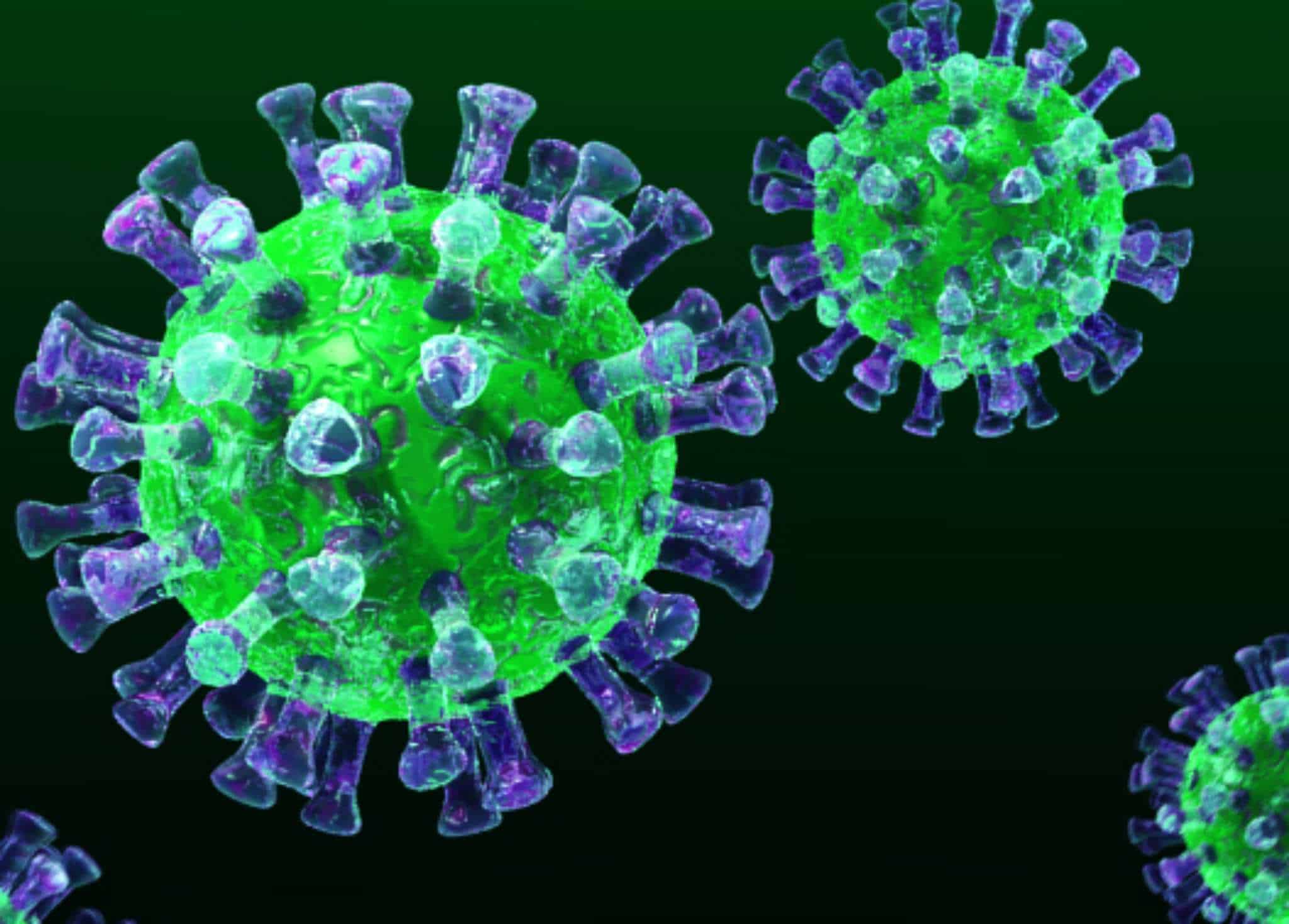 Le bufale alimentari e COVID 19