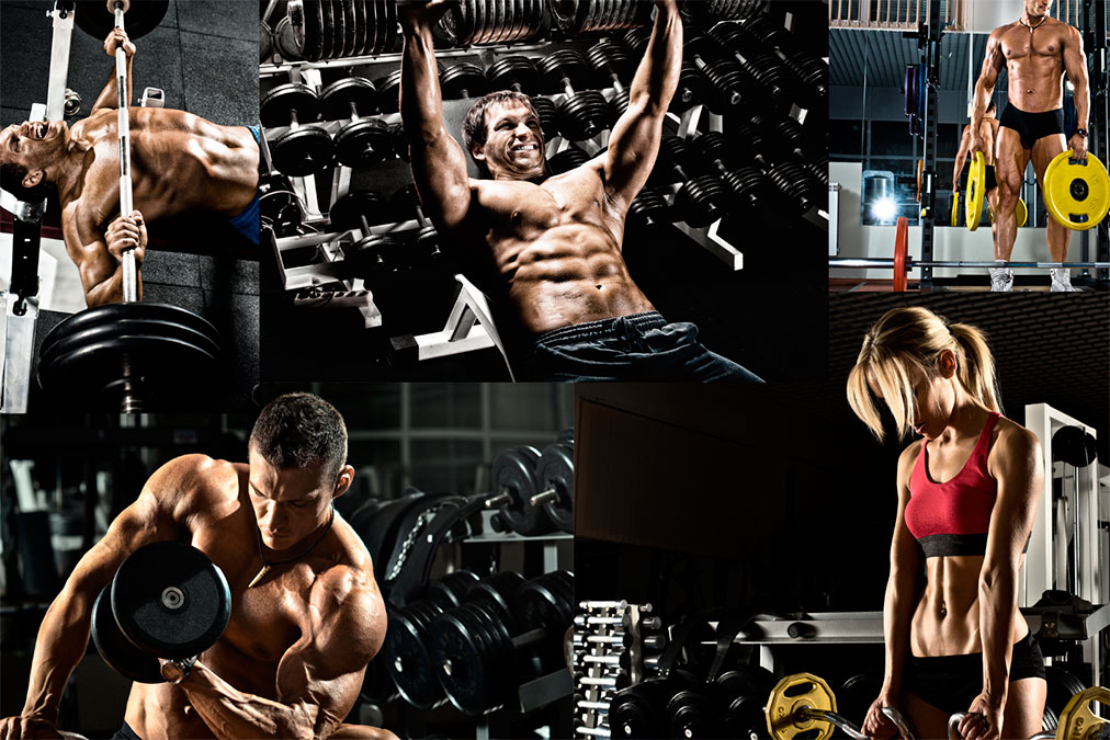 nutrizionista body-building