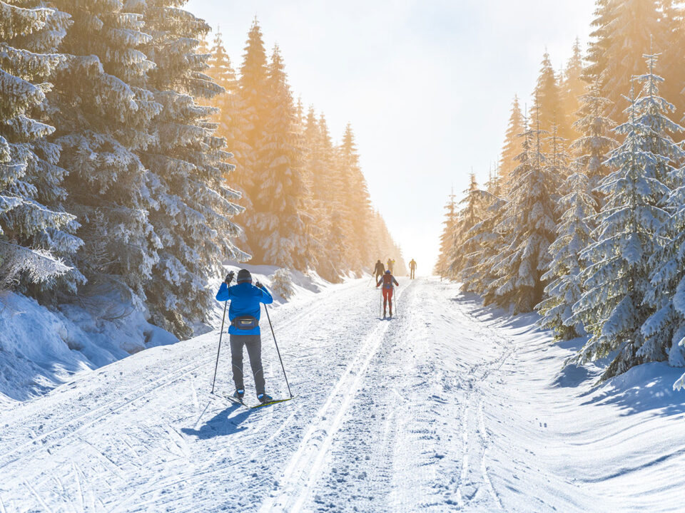nutrizionista sport invernali torino